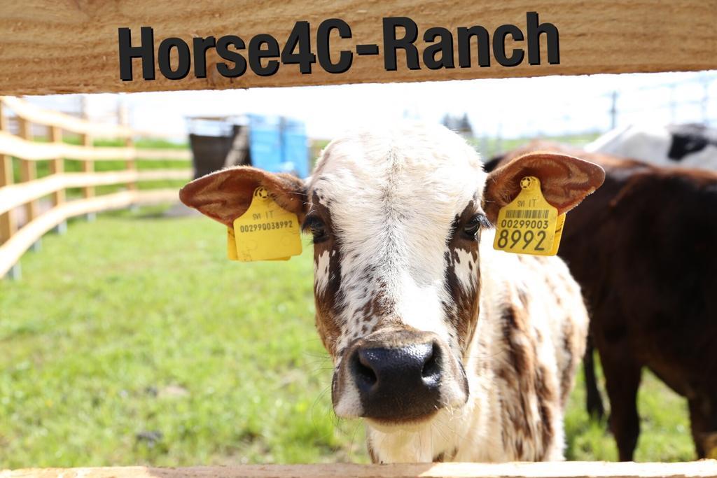 מלון Hainichen 4C Horse Ranch מראה חיצוני תמונה